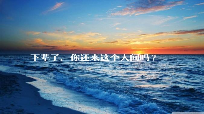 下辈子，你还来这个人间吗?
